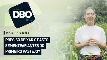 Pastagens: preciso deixar o pasto sementear antes do primeiro pastejo?