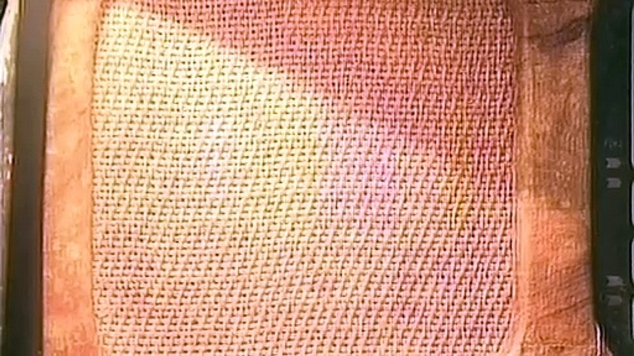 Freak e i suoi fratelli | movie | 2023 | Official Trailer