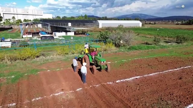 Investigadores de CUALTOS impulsan forraje a bajo costo para producir más leche