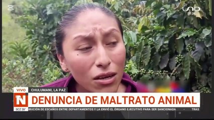 exigen justicia por maltrato animal