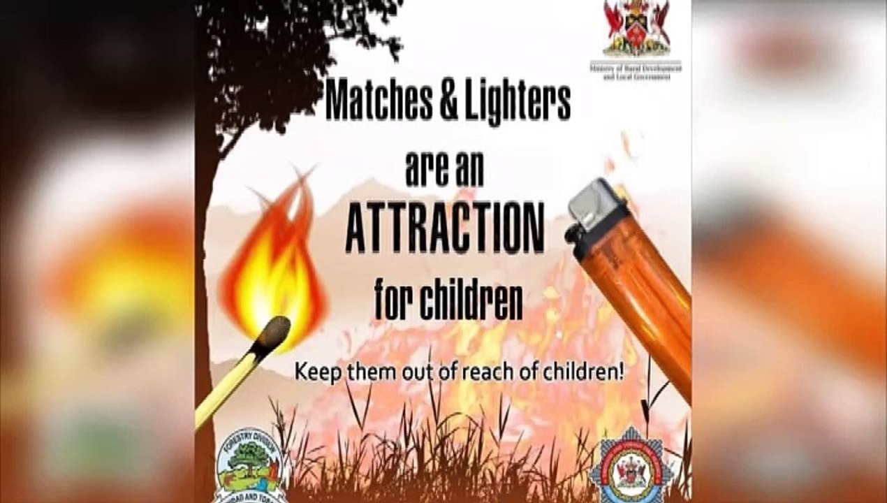 INCREASE IN BUSH FIRES