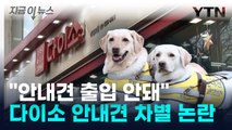 시각장애인은 다이소 어떻게 가나? 안내견 '문전박대' 논란 [지금이뉴스] / YTN