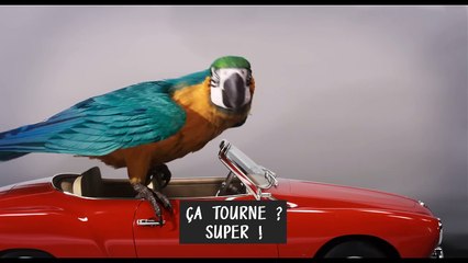 Le voyage du Dr Dolittle | movie | 2020 | Official Featurette