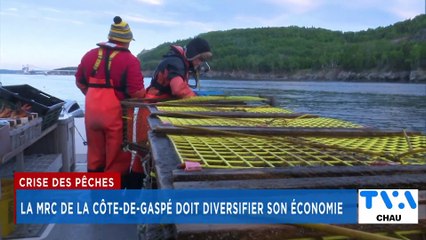 TVA Nouvelles CHAU 18h 15 janvier 2025