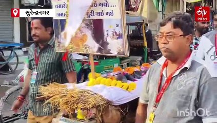 જુઓ વિડીયો: ઉત્તરાયણના પર્વ નિમિત્તે મૃત્યુ પામેલા, પક્ષીઓની સ્મશાન યાત્રા કાઢવામાં આવી