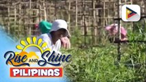 DSWD, pinaigting pa ang hakbang para sa turismo, agrikultura, at kabuhayan