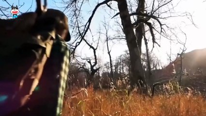 Khám Phá Cuộc Sống Hoang Dã của Mike Thợ Săn Alaska 🏔️