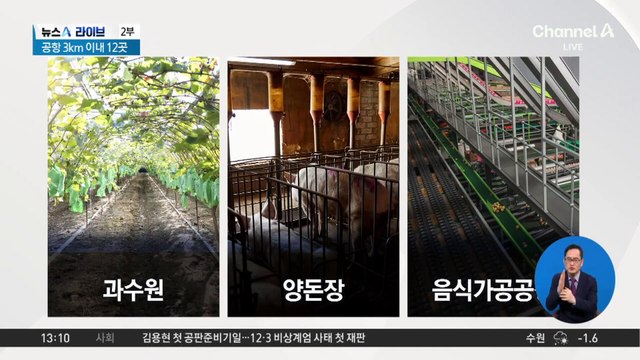 [단독]새떼 부르는 시설 12곳인데…무안공항, 협조공문만 보냈다