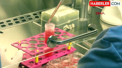 Kumpirin zehirlediği kadın hayatını kaybetmişti! Salmonella virüsü tespit edildi