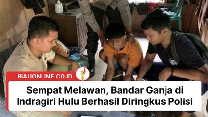 Sempat Melawan, Bandar Ganja di Indragiri Hulu Berhasil Diringkus Polisi