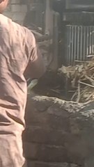 Village culture, Gurr making, pure life