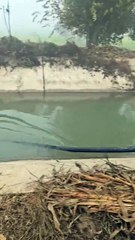 Sandeep _treading _farmer