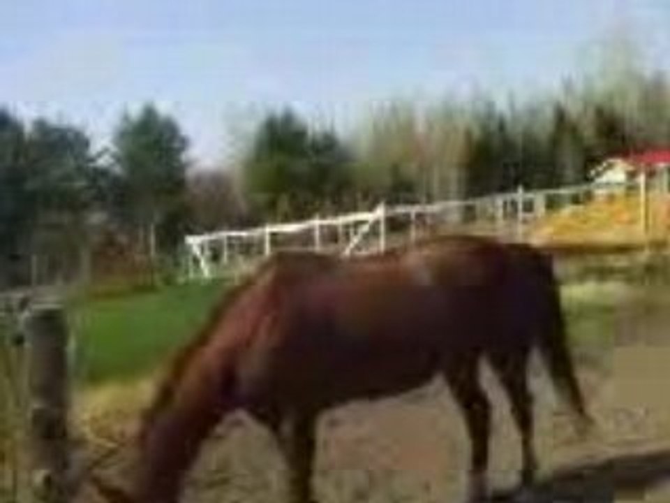 NANGY ROULADE .  26-27 AVRiiL - FDS.