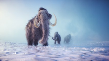 Texas "Decacorn" Colossal Biosciences Takes on a Mammoth Project: De-extinction