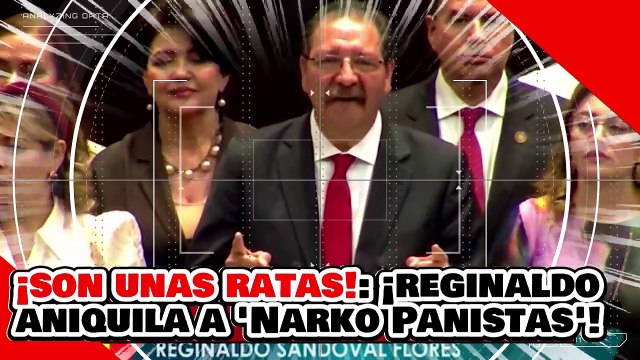 ¡SON UNAS RATAS! ¡REGINALDO ANIQUILA a UNA NARKO PANISTA por USAR el FOBAPROA vs. la 4T!