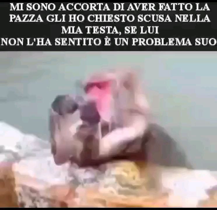 Ecco il mio ultimo video