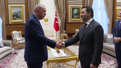 Cumhurbaşkanı Erdoğan'ın Suriye'deki yeni yönetimin Dışişleri Bakanı Şeybani'yi kabulü