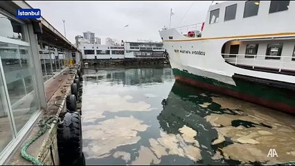 Kadıköy'de deniz yüzeyinde müsilaja benzer kirlilik görüldü