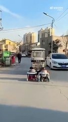 Les parents de l'année