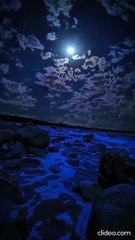 A NIGHT VIEW SEA SIDE
