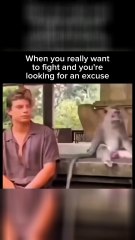 Discover Animal Shenanigans 🐶😂