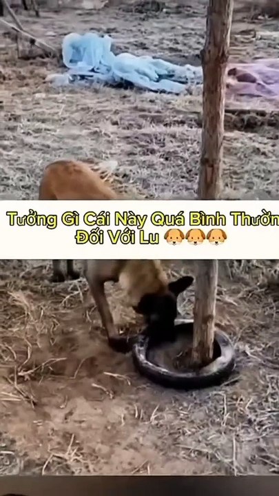 Wollen Sie es mir schwer machen? Es ist eine Kleinigkeit.