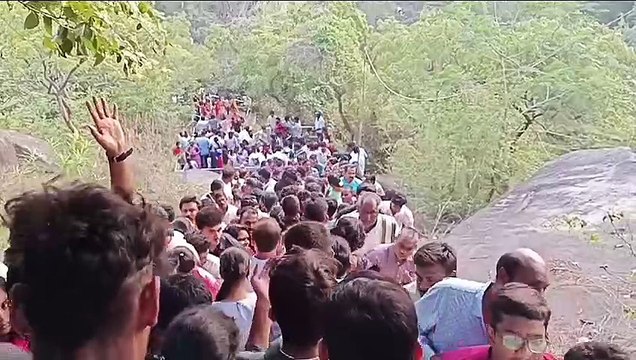 Ap_sklm_31_15_amadalavalasa_mugisina _sangamaya_jathara_av _3184128_ap 10140