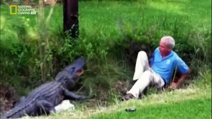 do or die hindi alligator attack