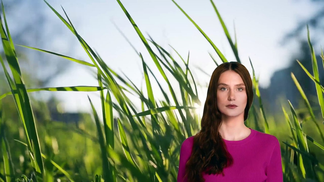 Weather video