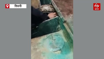 बोरवेल मशीन में छिपकर बैठा था अजगर, देखते ही लोगों की रुक गई सांसे...