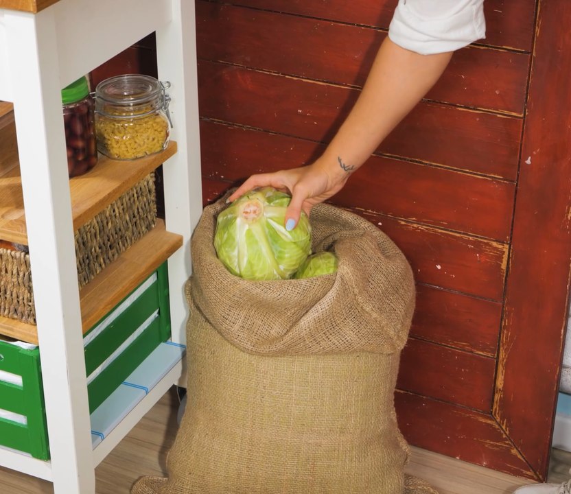 Conseils pratiques de conservation des aliments pour les cuisiniers de MAISON !