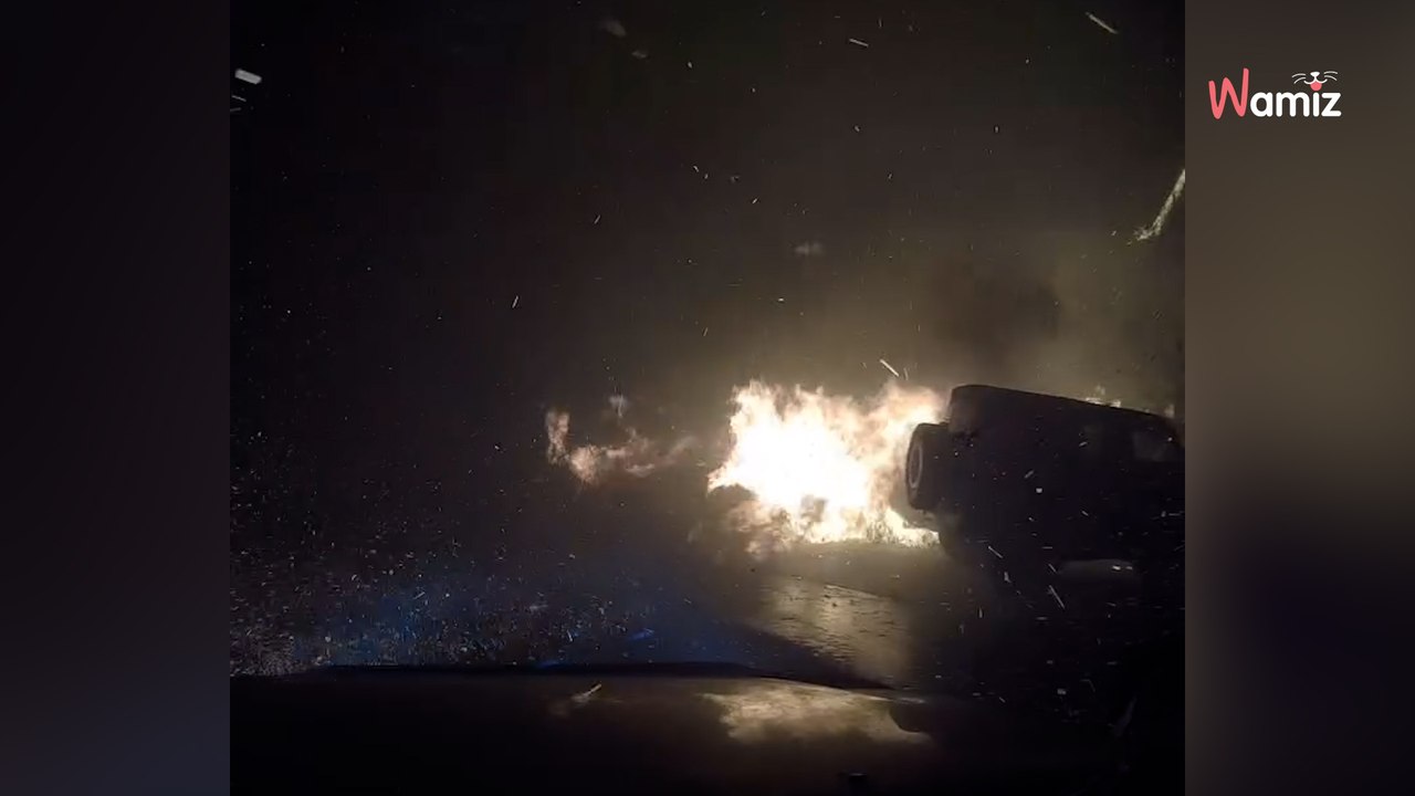 Los Angeles : un homme conduit dans une montagne en feu pour sauver une femme et ses 4 chiens