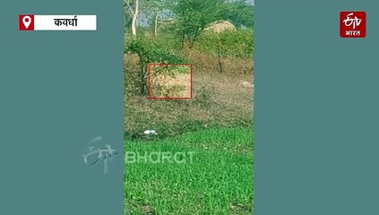 शिकारी आया किसानों के सामने, तेंदुए को देख गांव में मच गई भगदड़