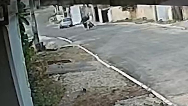 Polícia responsabiliza tutores por ataque de pitbulls que deixou idosos feridos 