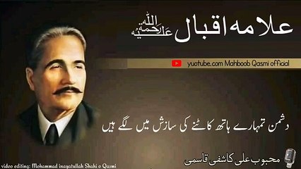 received_1183660349393002