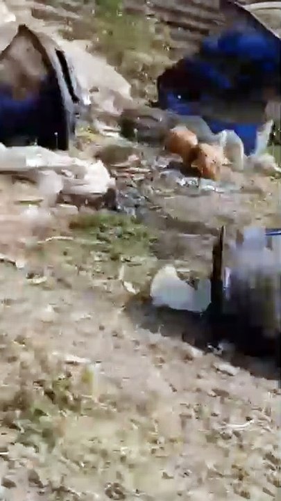 मद्यधुंद कंटेनर चालकाने नागरिकांसह अनेक वाहनांना चिरडले