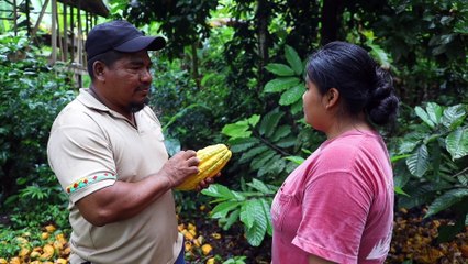 La Reina, testigo de cómo pequeños productores de cacao crean empleo y disminuyen la pobreza