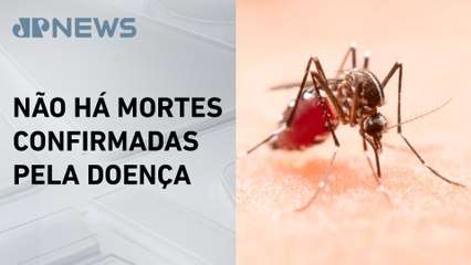 Rio de Janeiro registra 810 casos de dengue em 2025