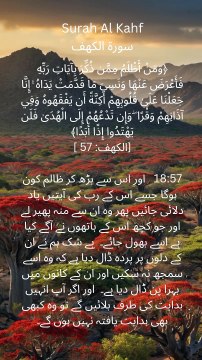 The heart that hardens is the biggest loss. #Quran #Reflection #Guidance #Islam #SpiritualGrowth