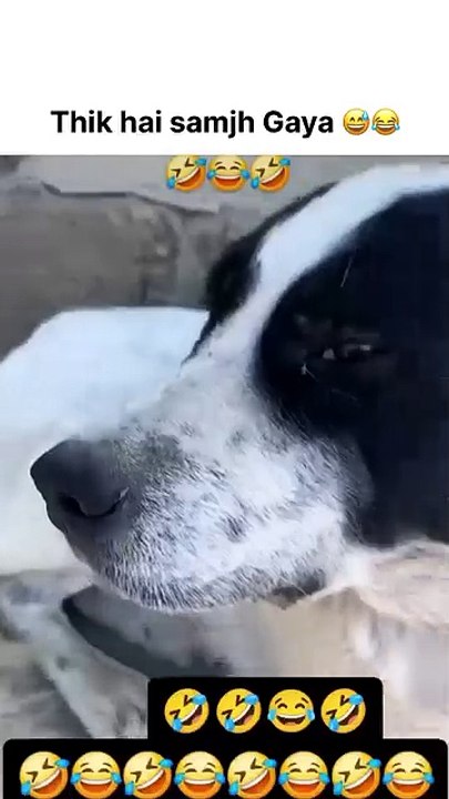 عزمان زعلان❤️