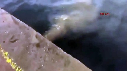 Çevre Bakanlığı’ndan İBB’ye 1 milyon 337 bin TL ceza