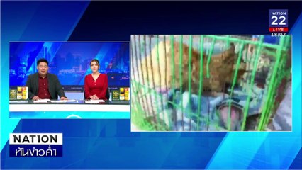 ล่า "ผู้บ่าวกินแมว" ยิงเบ้าตาเหมียว รักษาเฉียดหมื่น | เนชั่นทันข่าวค่ำ | 16 ม.ค. 68 | PART 1