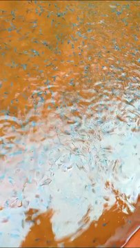 Tebar bibit lele ukuran 2-3cm, ini segmen pendederan