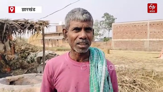 कोयला ही नहीं गुड़ के लिए भी जाना जाता है बड़कागांव, एक बार जिसने खाया वो हो गया दीवाना