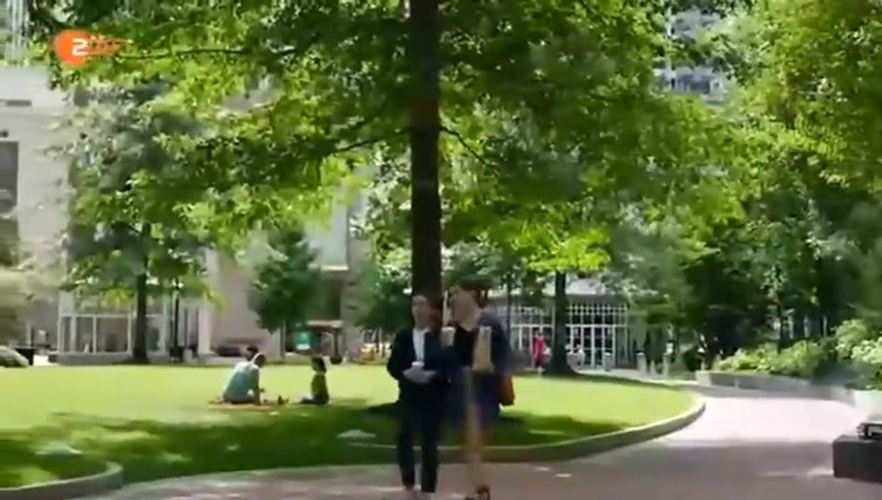 Katie Fforde -18- Vergissmeinnicht