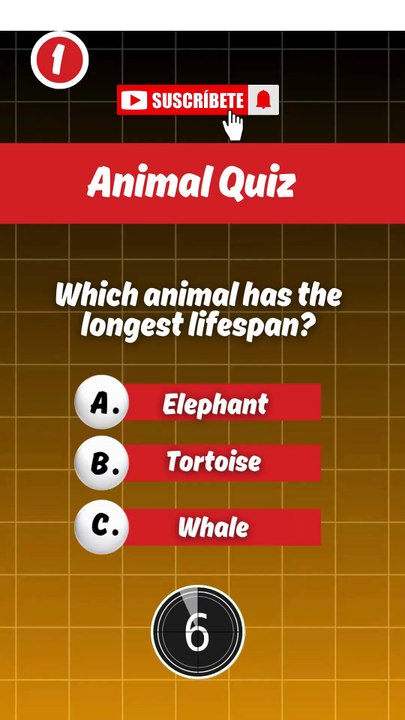 "Guess the Correct Answer! 🤔💡 Test Your Knowledge! #Quiz #Shorts"