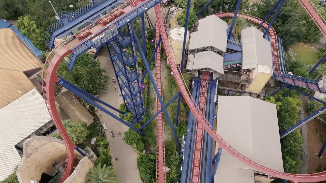 Sheikra Front Row POV (Busch Gardens - Tampa, FL) - 4K Roller Coaster POV Video