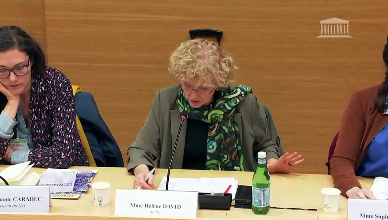 Délégation aux droits des enfants : Table ronde sur la prostitution des mineurs avec l’audition des associations Agir contre la prostitution des enfants (ACPE) et le mouvement du Nid  - Mercredi 15 janvier 2025