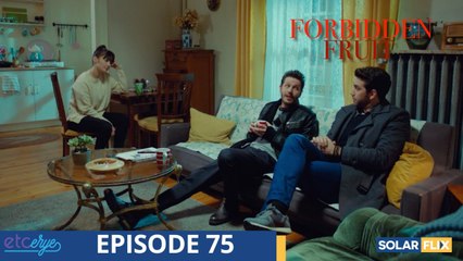 Forbidden Fruit Episode 75 ¦ FULL EPISODE ¦ TAGALOG DUB ¦ Turkish Drama