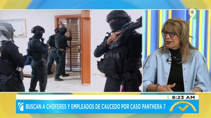 Buscan a choferes y empleados de Caucedo por caso Panthera 7 | El Despertador